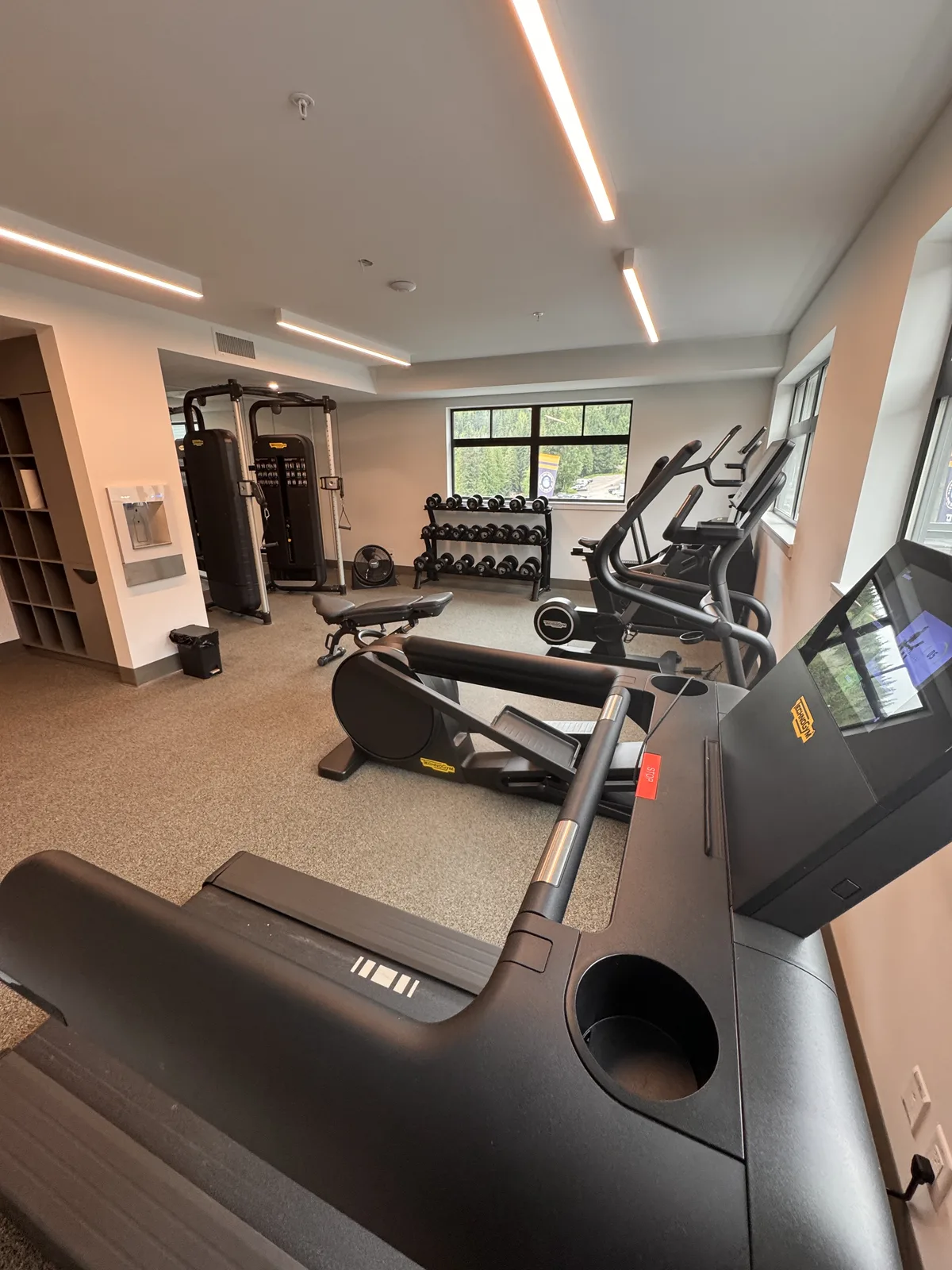 Free weights and cable machine